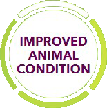 Improved animal condition